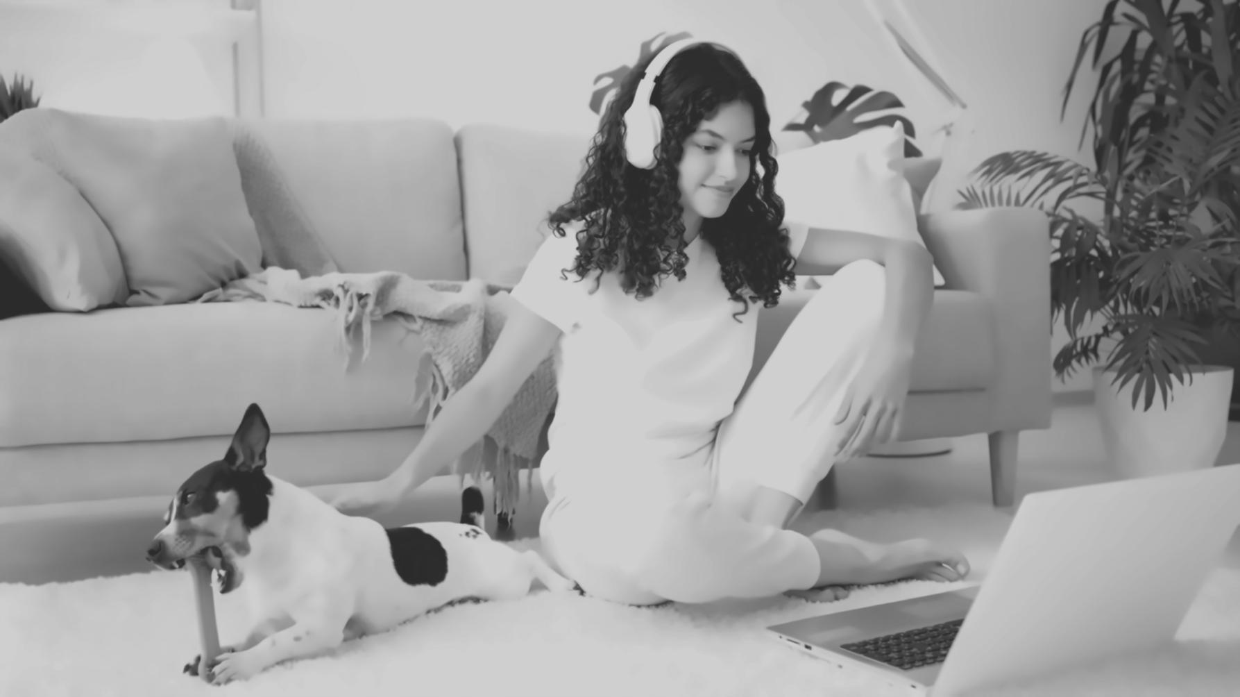 Professionelle Finanzberatung und Bildungsumgebung bei brylonexiava